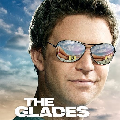 Captivating Tv Shows Like The Glades